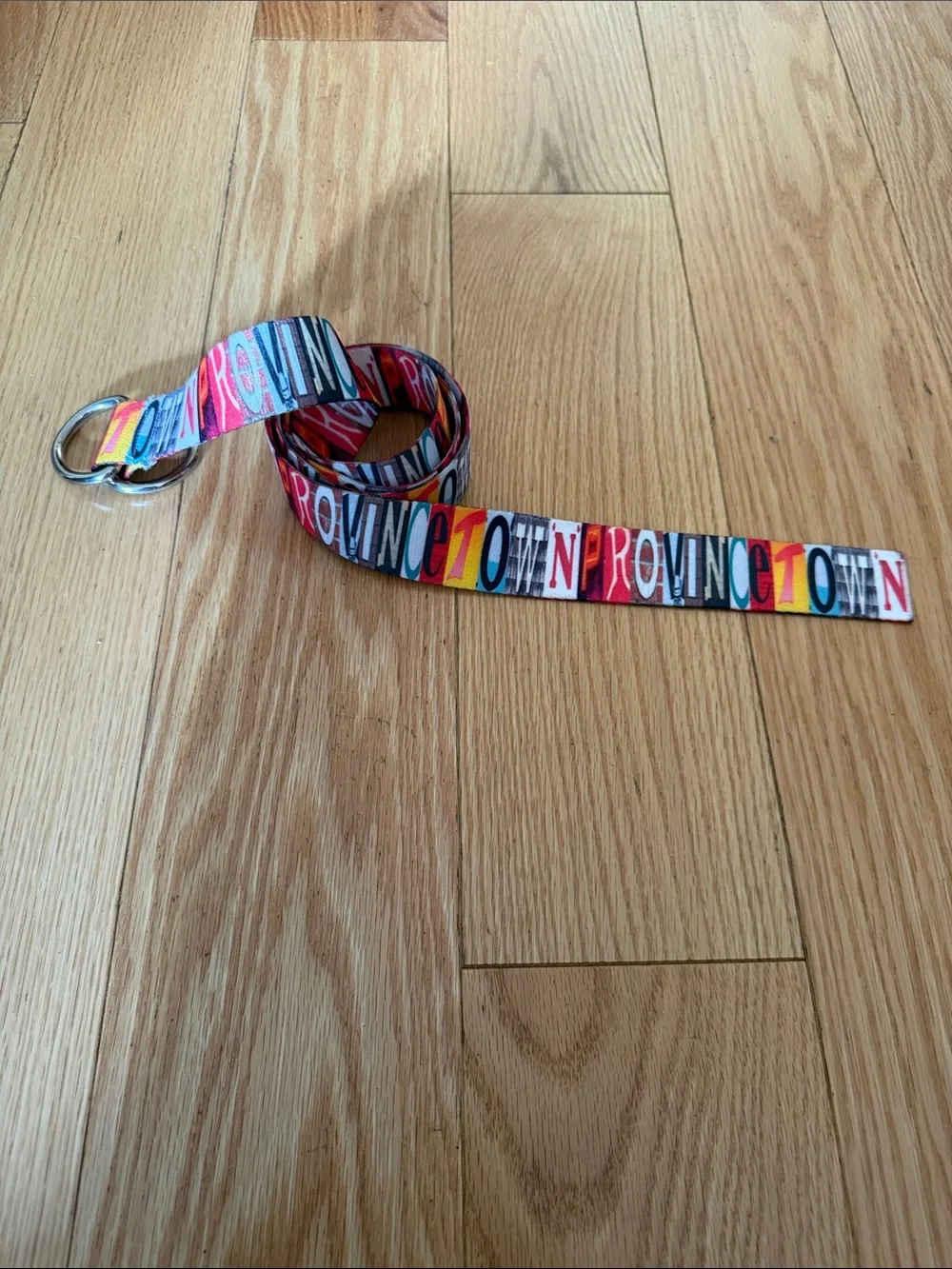 Provincetown Men’s Rainbow Logo D Ring Belt - Multicolor